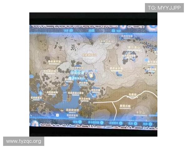 探索金界里的无限精彩与隐藏宝藏的秘密